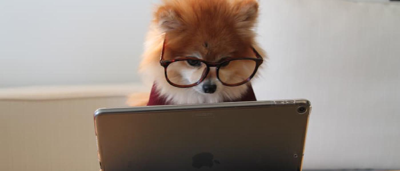 Windows Insider で 0xc8000402 エラーになりビルドをインストール出来ない場合の対処法(結構簡単)