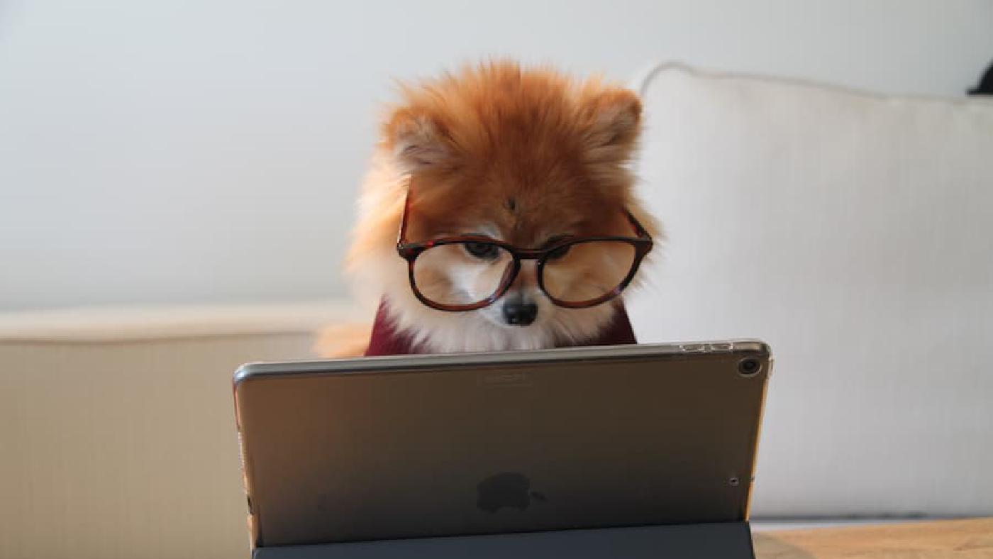 Windows Insider で 0xc8000402 エラーになりビルドをインストール出来ない場合の対処法(結構簡単)