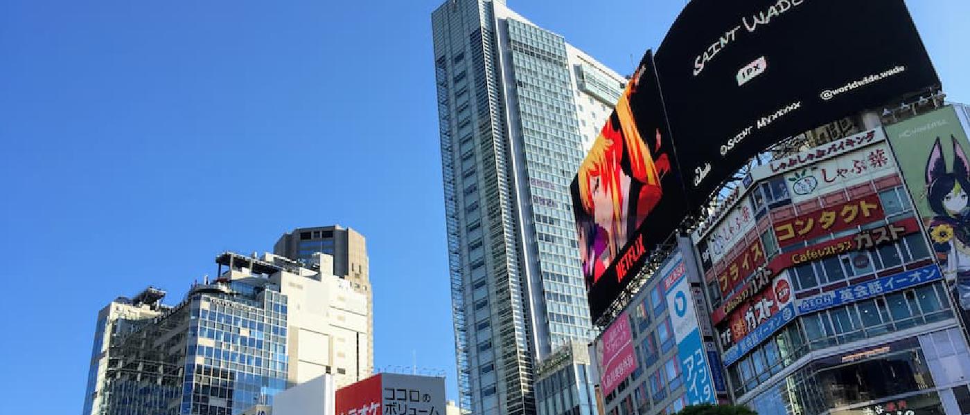 僕が広告を一切入れていない理由(本音)