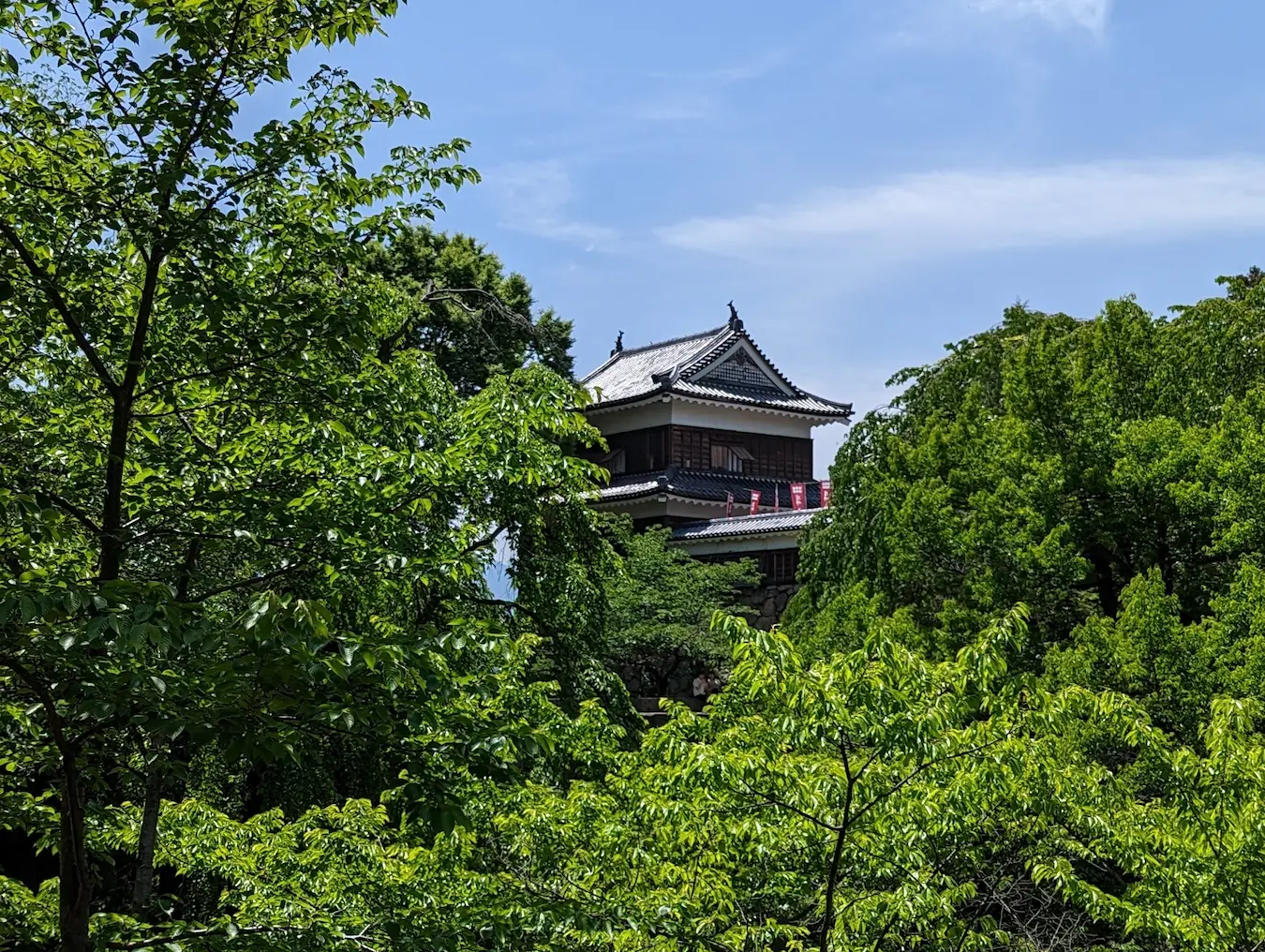 城の写真 (2倍、単純拡大)