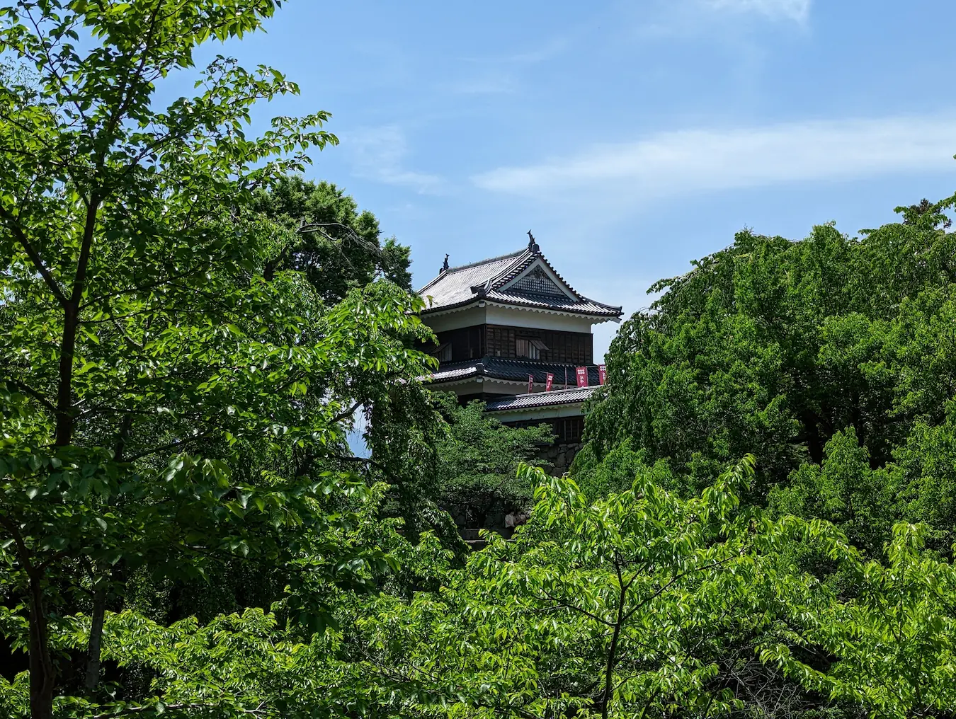 城の写真 (2倍、Pixel の超解像ズームで撮影)