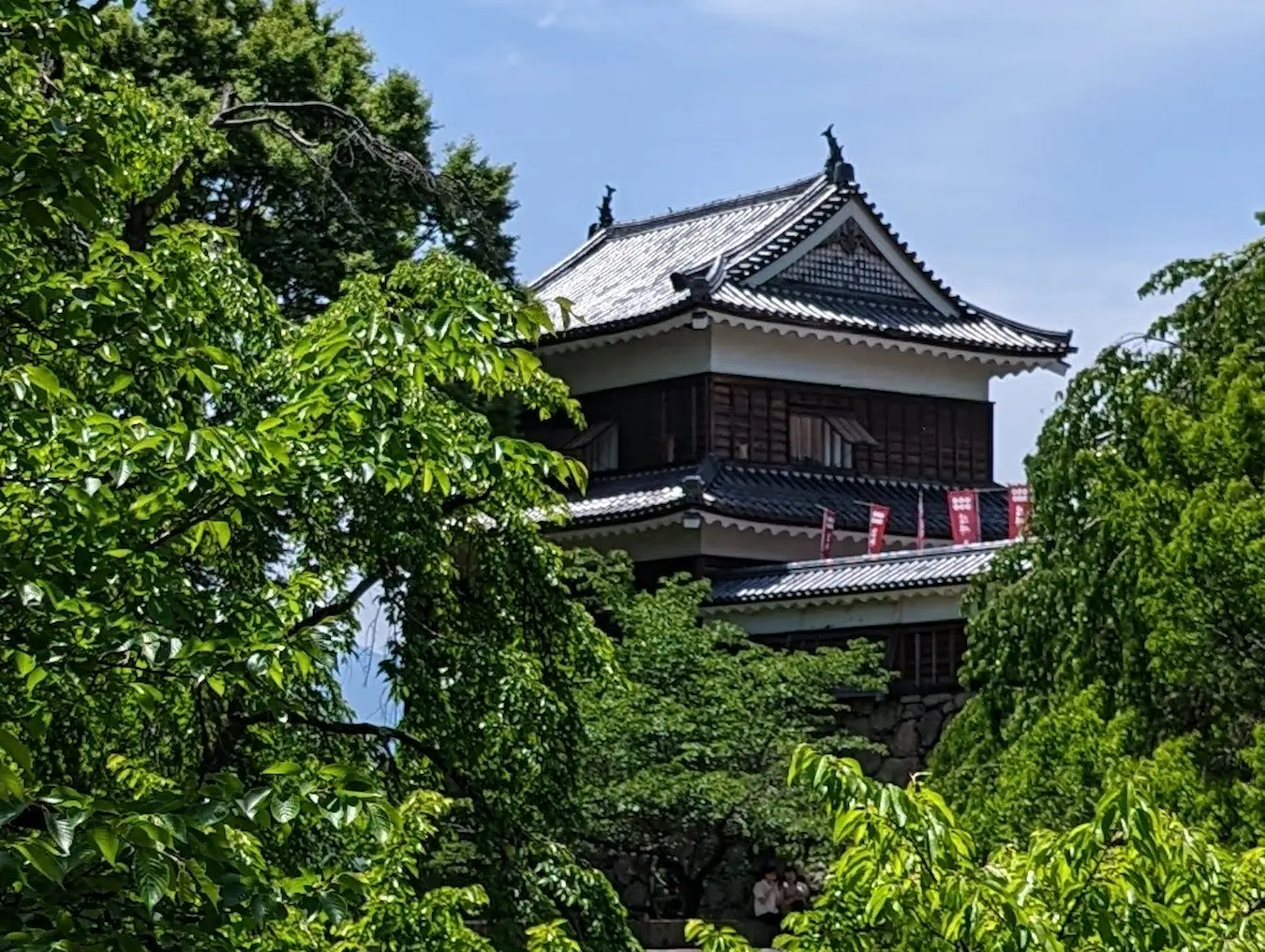 城の写真 (4倍、単純拡大)