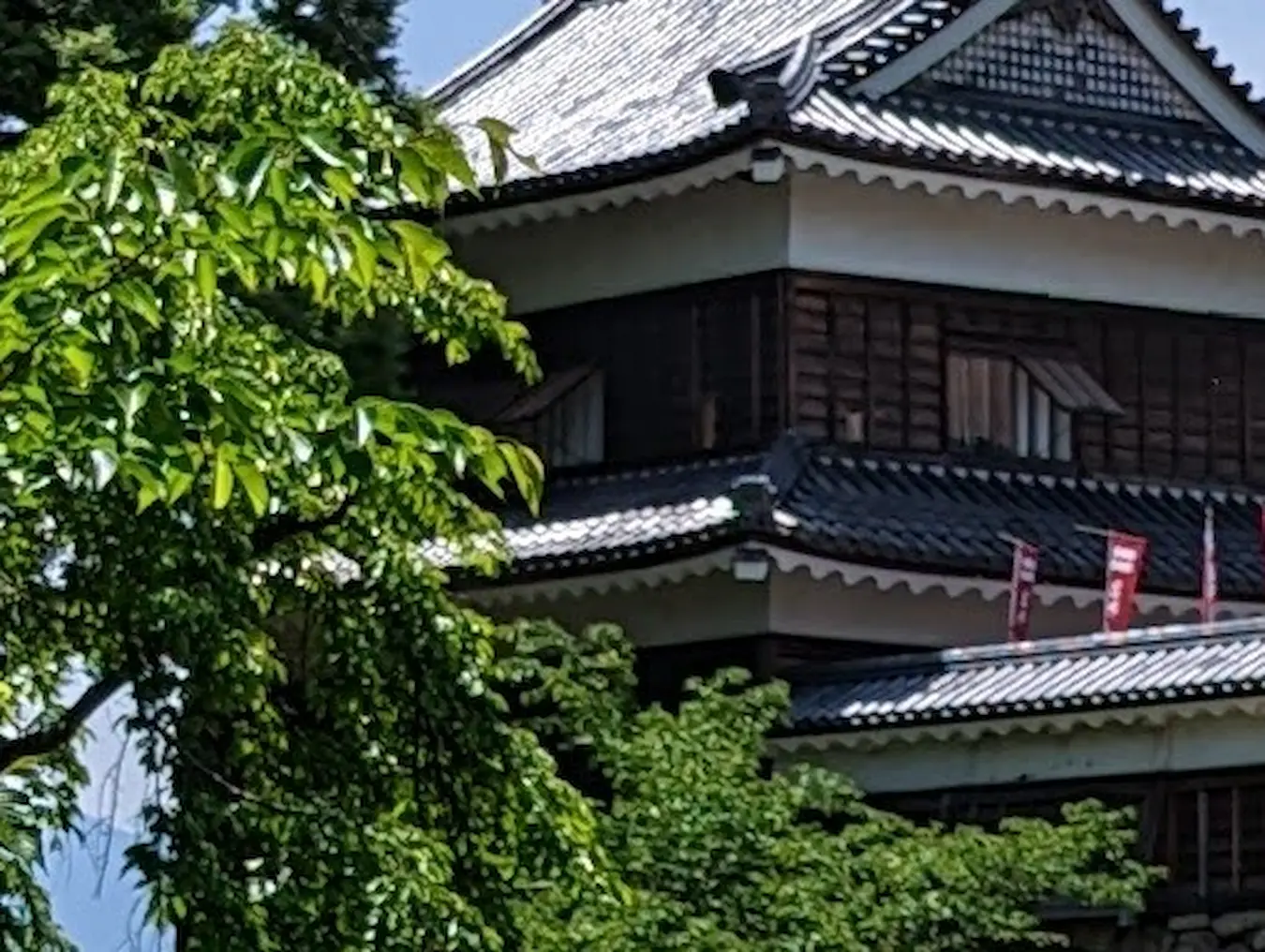 城の写真 (8倍、単純拡大)