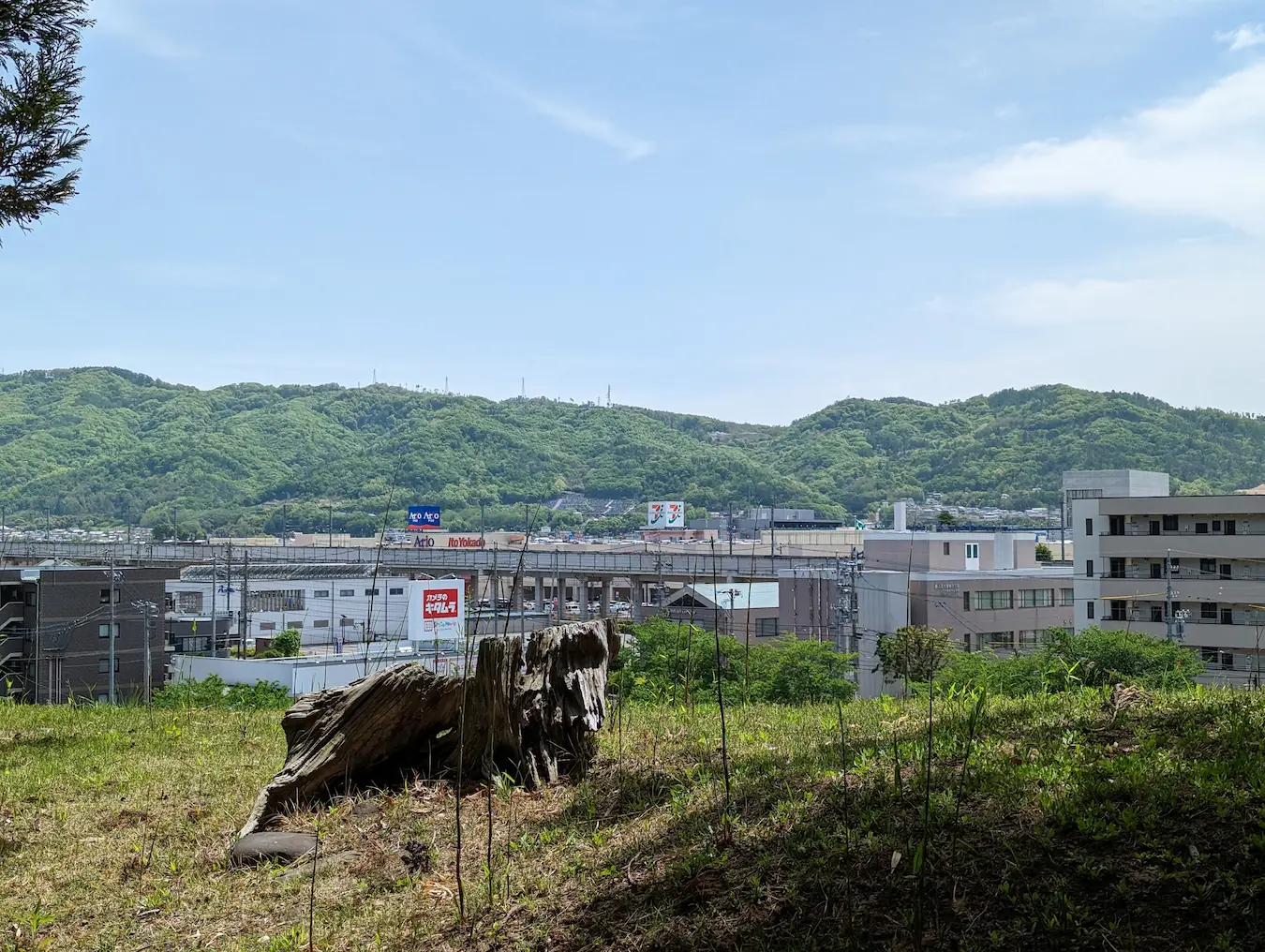 高台からの写真 (2倍、Pixel の超解像ズームで撮影)