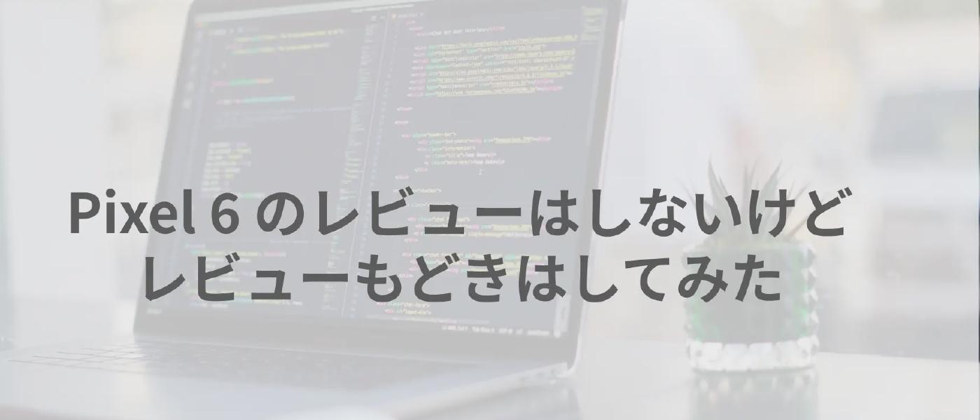 Pixel 6 のレビューはしないけどレビューもどきはしてみた